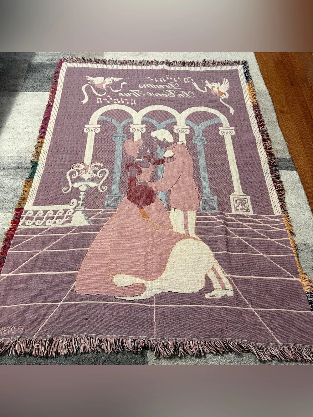 Vtg Disney Cinderella Woven Tapestry Blanket Throw Dreams Do Come True 90s Y2K